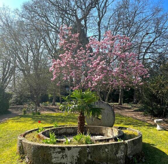 Номер Basic, Manoir Du Parc