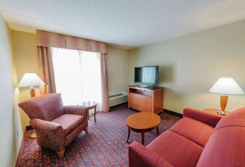 Номер Стандарт, Hilton Garden Inn Cincinnati Midtown