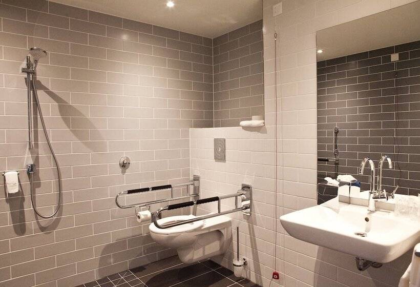 Номер Стандарт Адаптированный для Инвалидов, Holiday Inn Express Frankfurt Airport   Raunheim, An Ihg