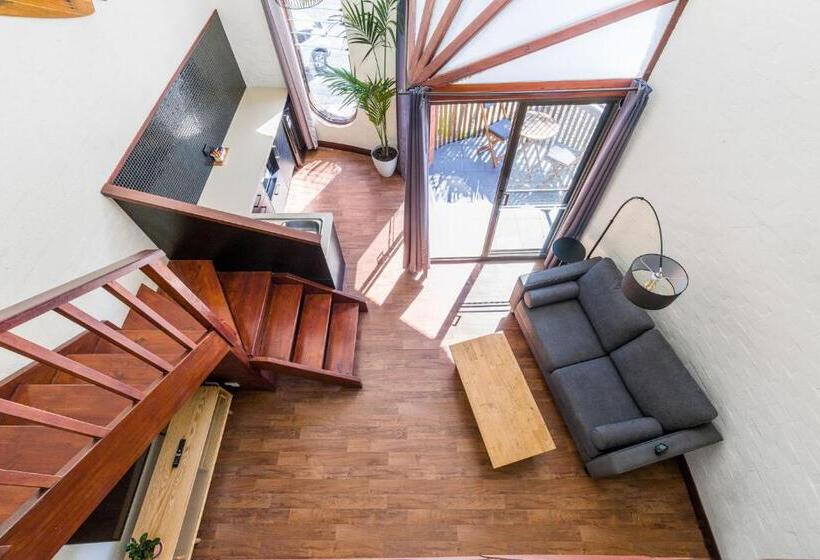 스탠다드 자쿠지 룸, Aquarius Backpackers Resort