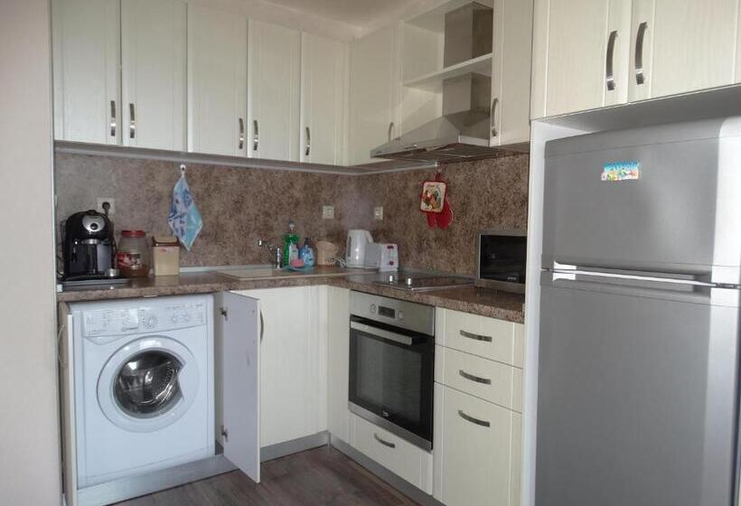 إستوديو قياسى مطل على البحر, Chateau Del Marina Apart Complex