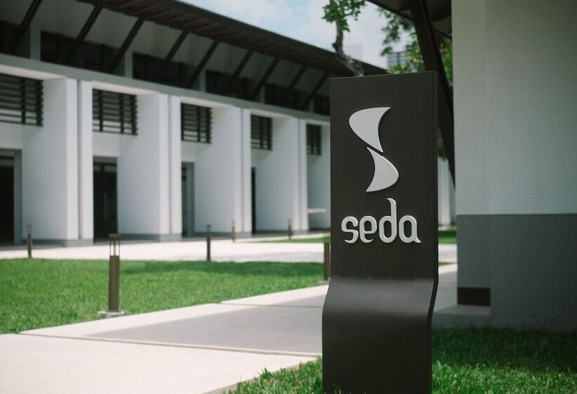 سوییت, Seda Lio