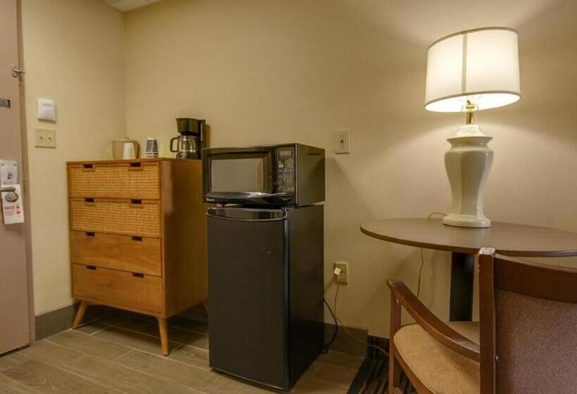 デラックスルーム, Americana Motor Inn On Boardwalk