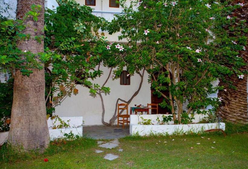 Студия Стандарт, Damnoni Paradise