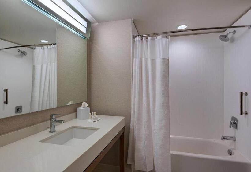 스탠다드 룸 킹사이즈 침대, Courtyard By Marriott Jackson Madison