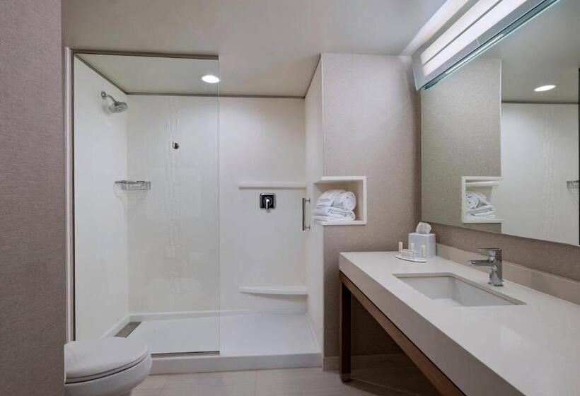 장애인용 디럭스룸, Courtyard By Marriott Jackson Madison