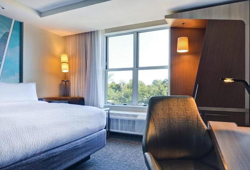 장애인용 디럭스룸, Courtyard By Marriott Jackson Madison