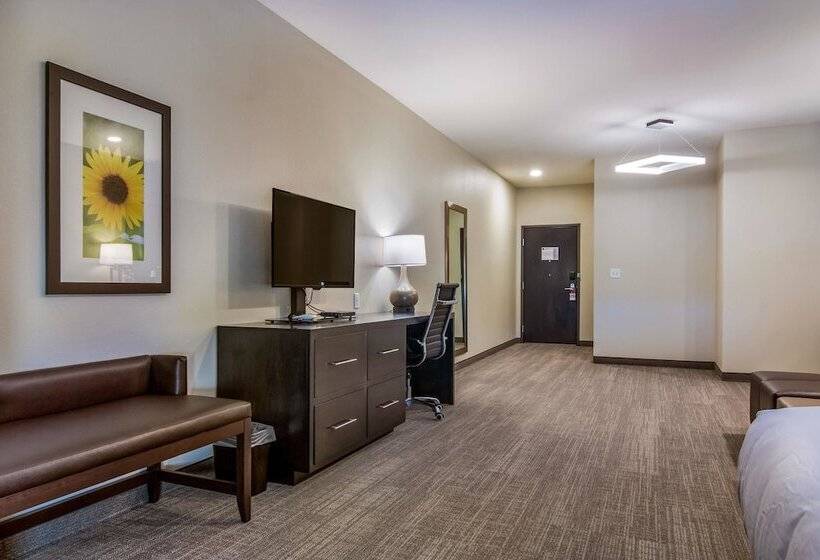 Люкс Адаптированный для Инвалидов, Comfort Suites