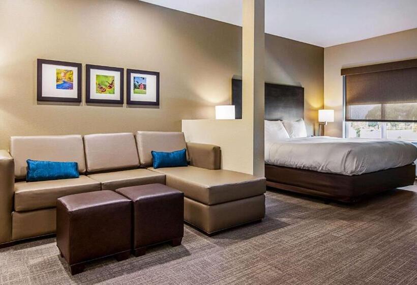 Люкс Кровать Кинг, Comfort Suites