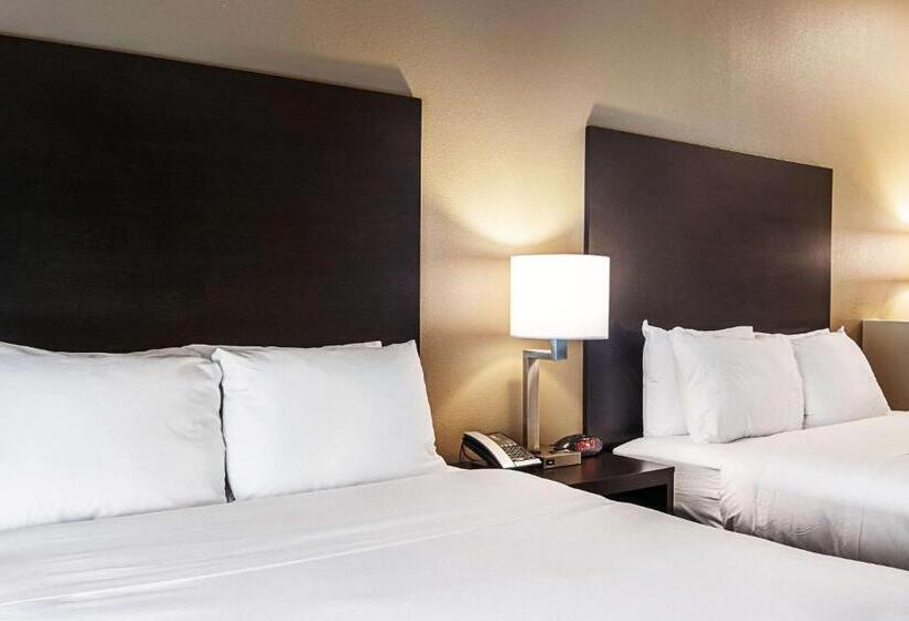 Люкс, Comfort Suites