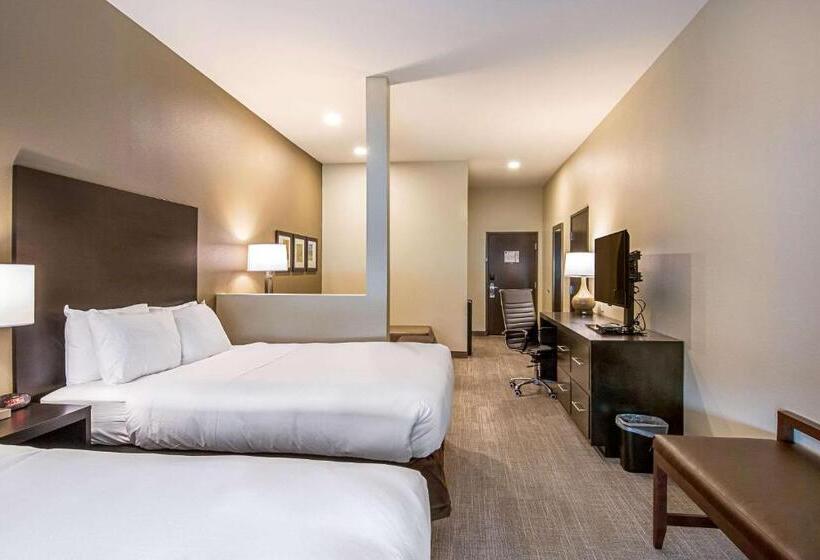 Люкс Адаптированный для Инвалидов, Comfort Suites