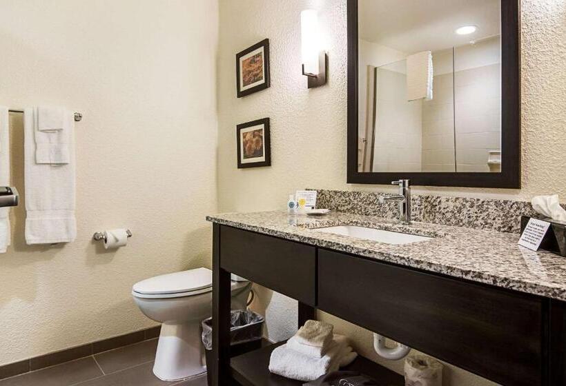 Люкс Кровать Кинг, Comfort Suites