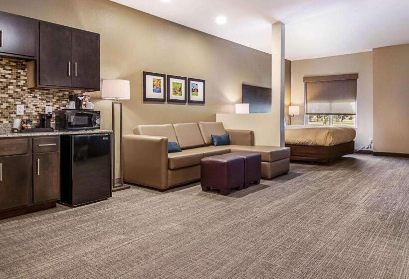 Люкс Адаптированный для Инвалидов, Comfort Suites
