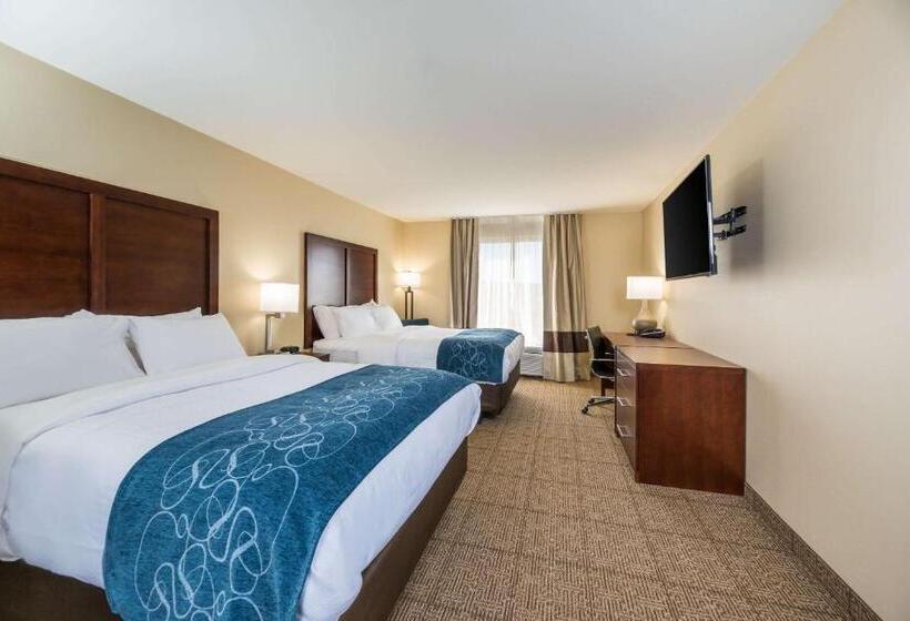 장애인을 위한 스탠다드 룸, Comfort Inn Tonopah