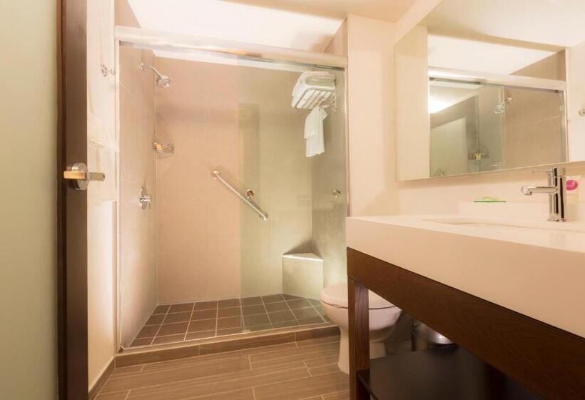 חדר סטנדרט מותאם לאדם עם מוגבלויות, Hyatt Place Aguascalientes Bonaterra