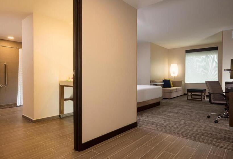 חדר סטנדרט עם מיטת קינג, Hyatt Place Aguascalientes Bonaterra