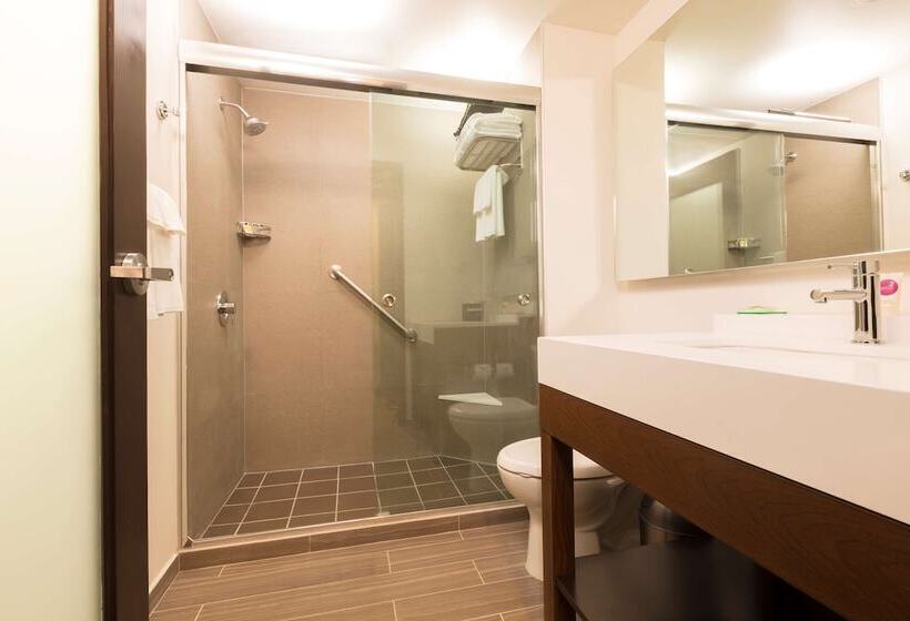 חדר סטנדרט מותאם לאדם עם מוגבלויות, Hyatt Place Aguascalientes Bonaterra
