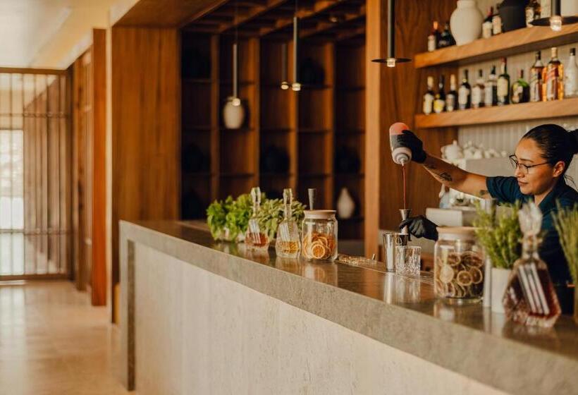 １ベッドルームペントハウスアパート, Nobu Hotel Los Cabos