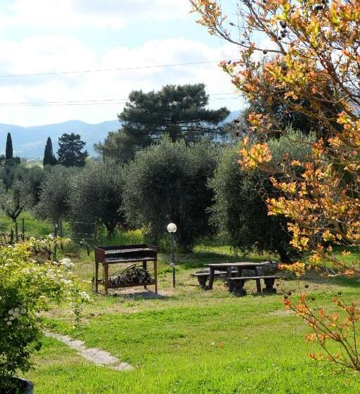 Апартаменты 1 Спальня Нижний Этаж, Agriturismo Biologico Bulichella