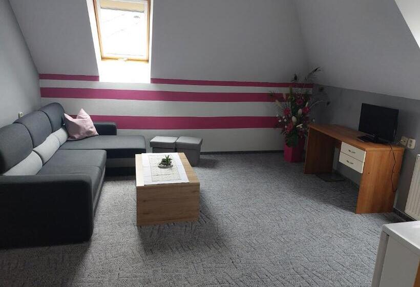 شقة غرفة واحدة, Penzion Raj