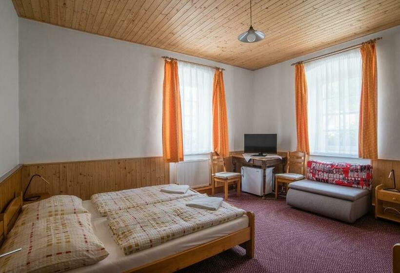 Номер Стандарт, Pension Herman