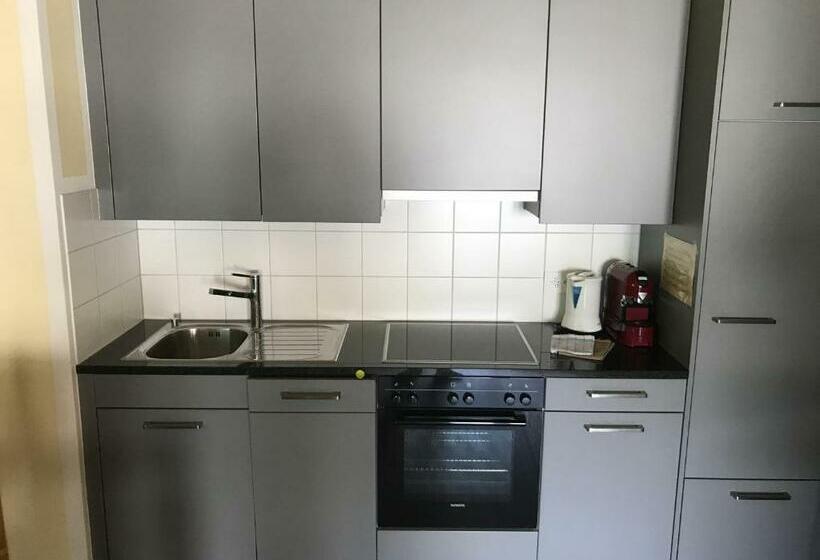 Студия Стандарт, Aladin Apartments St Moritz