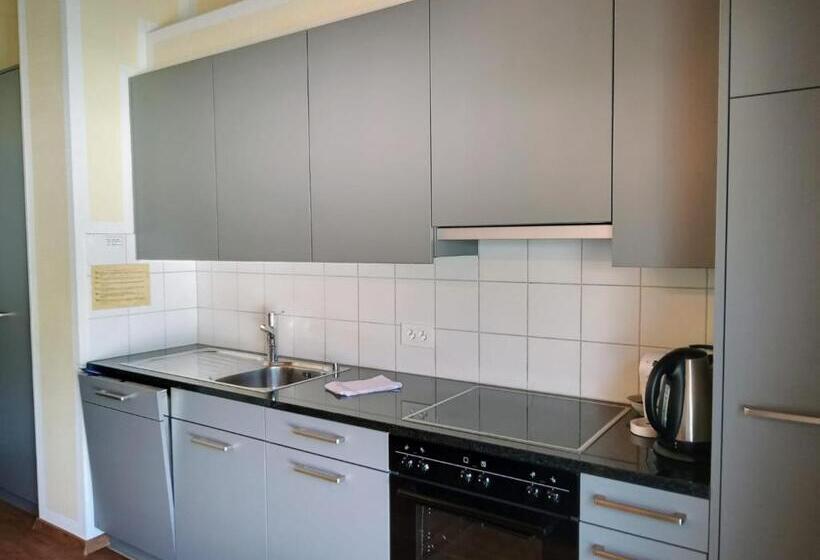 Апартаменты 1 Спальня, Aladin Apartments St Moritz