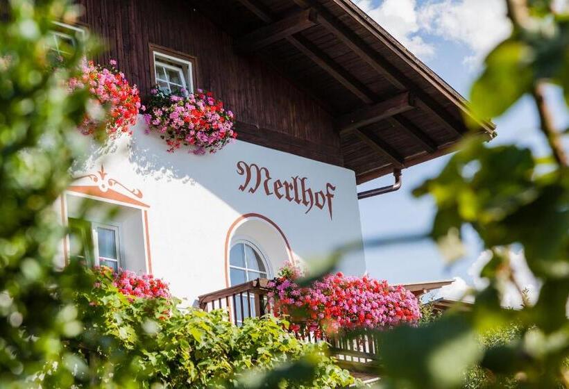 Апартаменты 1 Спальня, Merlhof