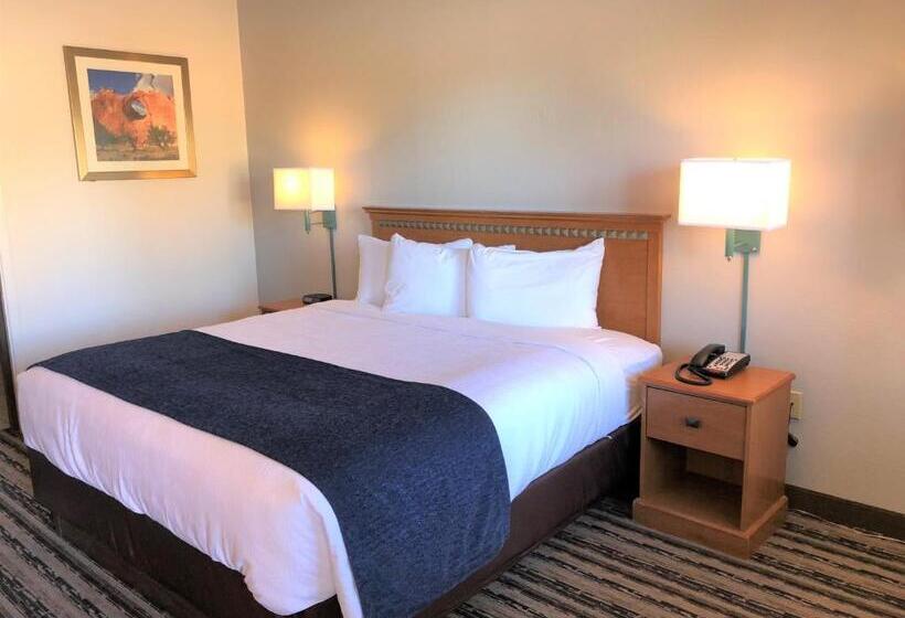 스탠다드 룸 킹사이즈 침대, Navajoland Inn