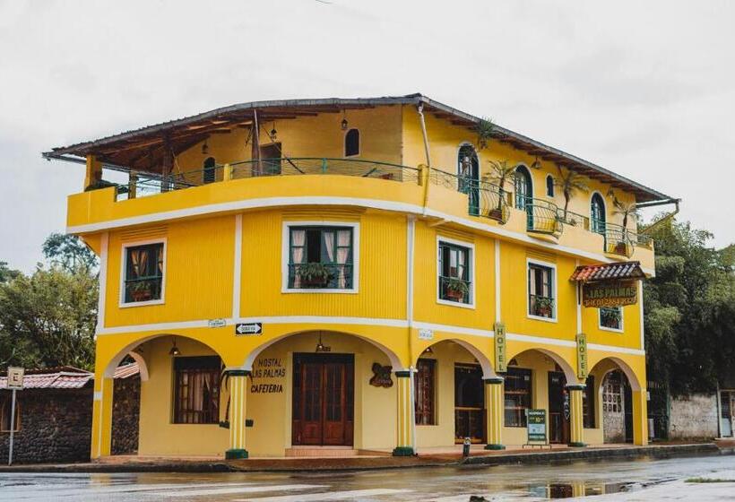 Номер Стандарт, Hostal Las Palmas