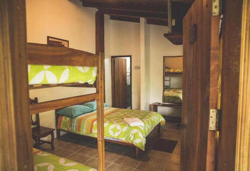 Четырехместный Номер Superior, Hostal Las Palmas