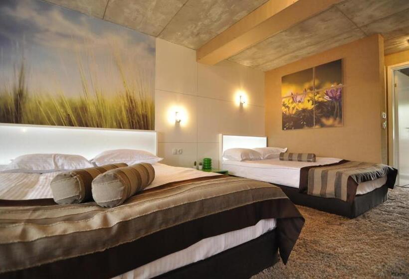 Люкс Дюплекс, Aparthotel Seasons Glavatarski Han