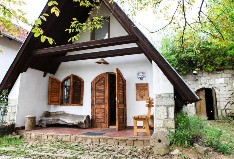 Апартаменты 1 Спальня, Myrtus Pince és Vendégház