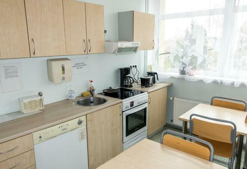 اتاق استاندارد با سرویس بهداشتی مشترک, Guesthouse Rehab