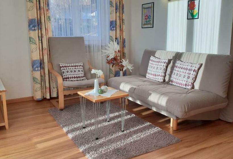 Апартаменты 1 Спальня с Балконом, Appartements Dornach