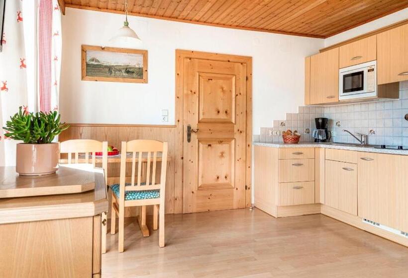 Апартаменты 1 Спальня с Балконом, Prechtlhof In Flachau