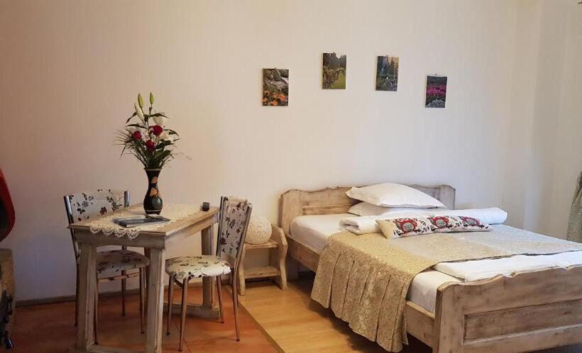 חדר סטודיו סטנדרד, Casa De Vacanta Razvan Si Andrei