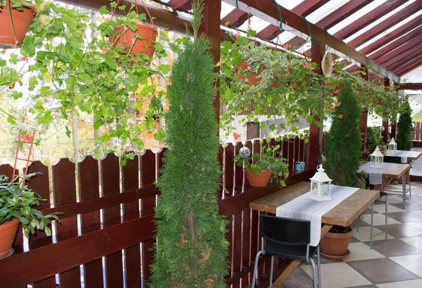 חדר סטנדרט, Casa De Vacanta Razvan Si Andrei
