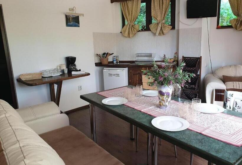 Family flat with terrace, Casa De Vacanta Razvan Si Andrei