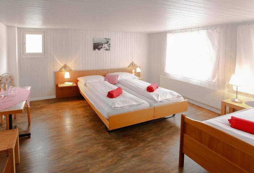 Номер Стандарт Трехместный, Landgasthof Schlüssel Alpnach