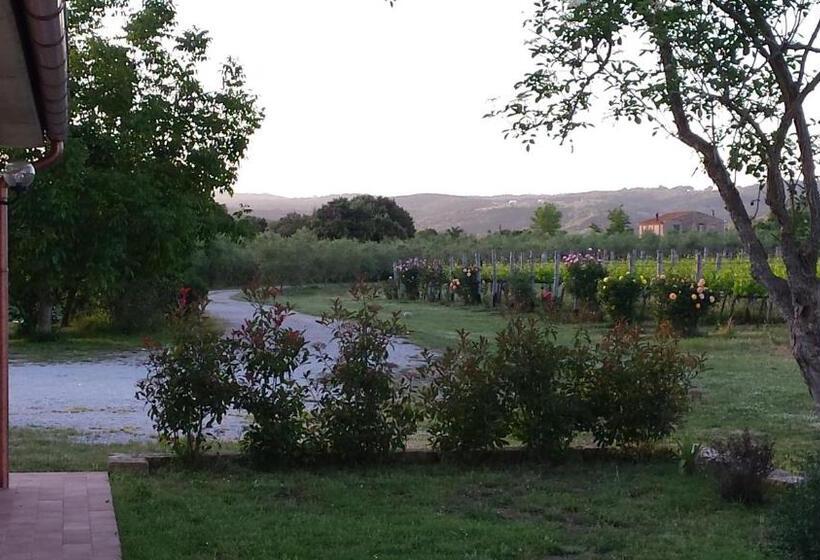 اتاق لوکس, Agriturismo Podere La Cascata