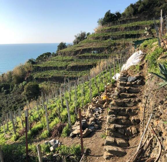 اتاق استاندارد سه نفره, Zia Letizia Bed And Wine