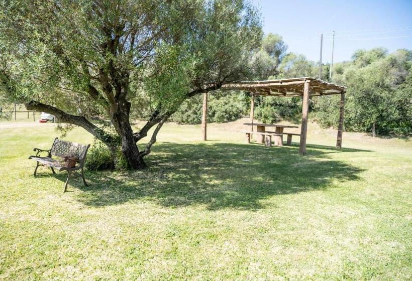 Бунгало Стандарт, Agriturismo Sa Mendhula