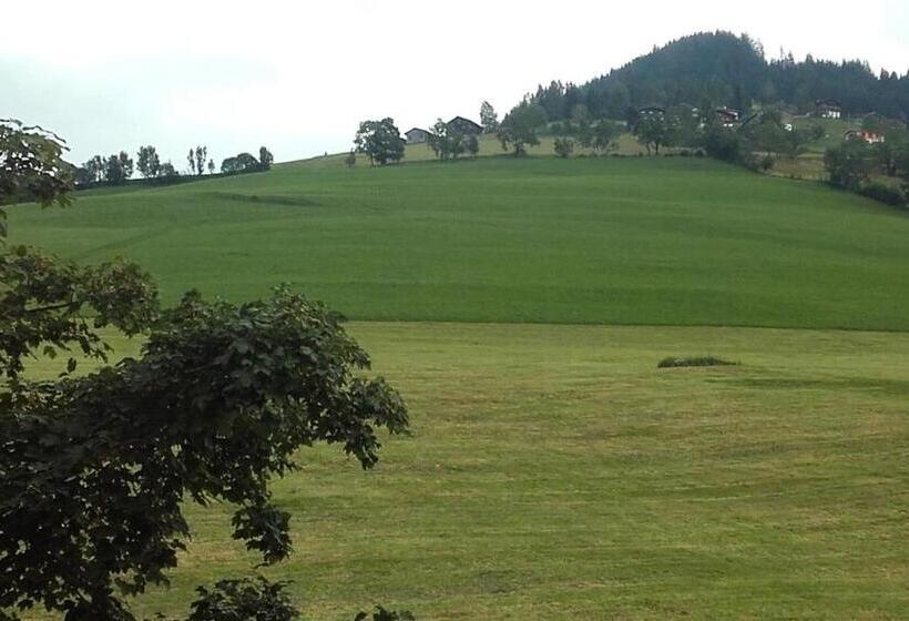 Номер Basic с Балконом, Großberghof