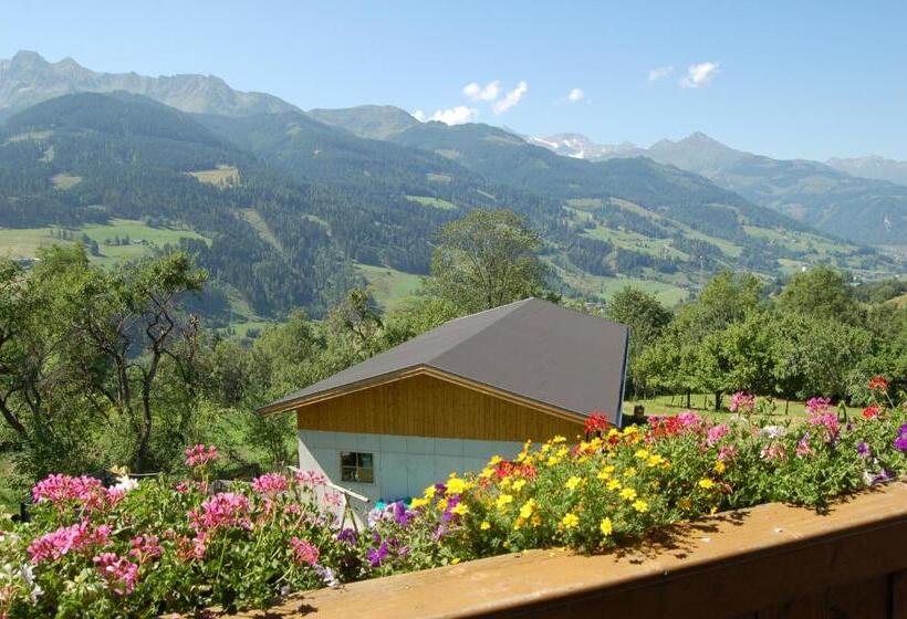 Апартаменты 1 Спальня Вид на Сад, Großberghof