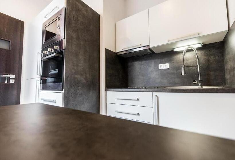 Люкс Дюплекс, Apartments Benešova 6