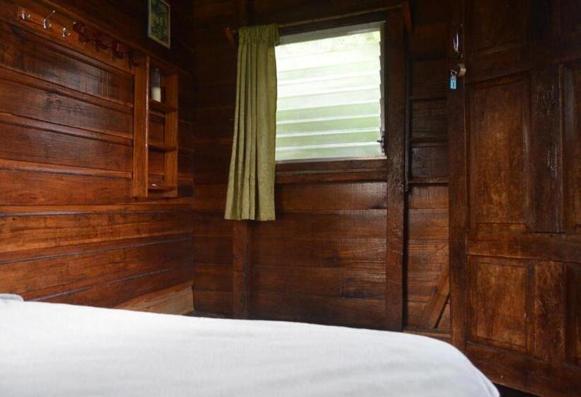 Люкс, Beverly's Hill Guest House