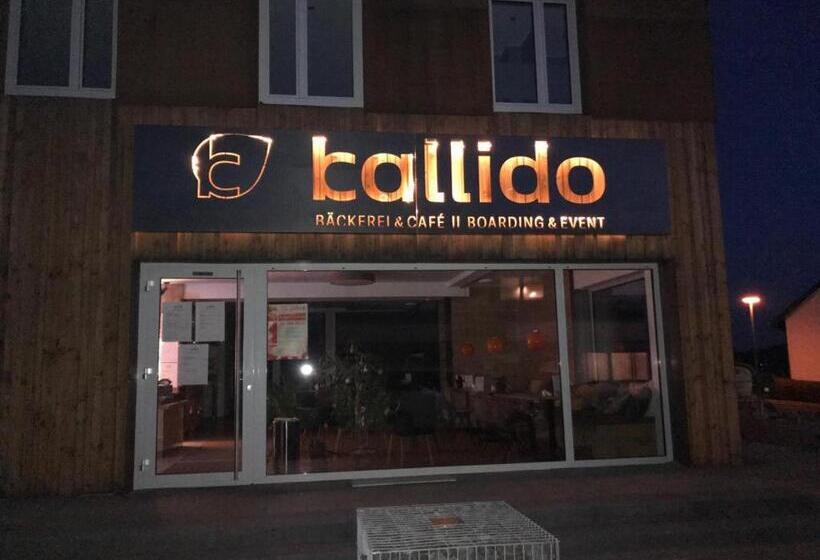 豪华房间, Kallido