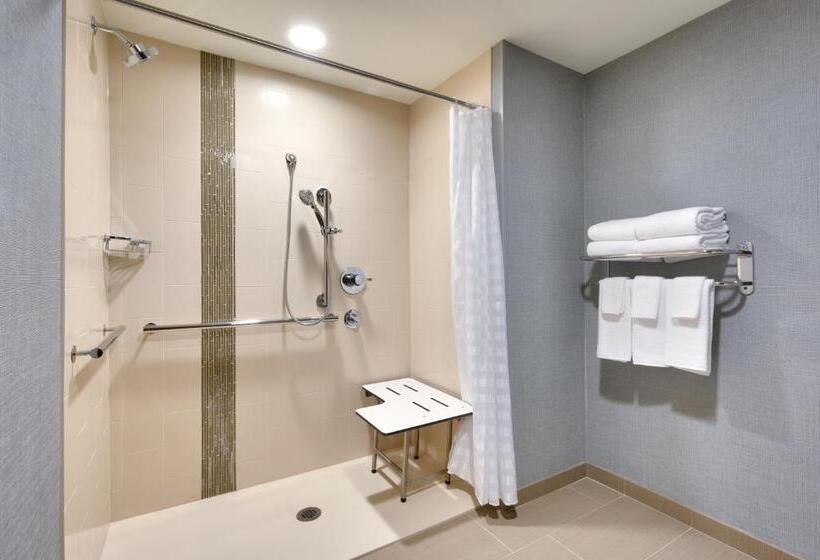 Номер Стандарт Кровать Кинг Адаптированный для Инвалидов, Hyatt Place Anchorage Midtown