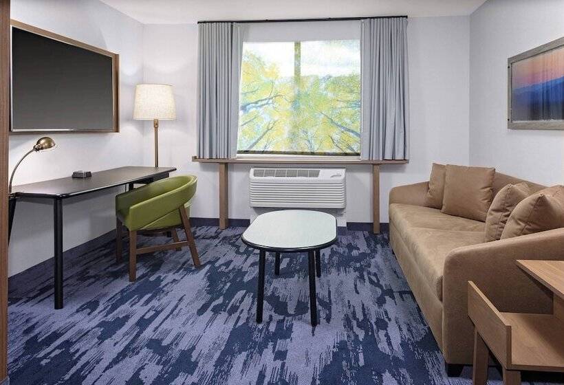 スイート, Fairfield Inn & Suites By Marriott Indianapolis Greenfield